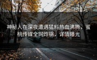 神秘人在深夜遭遇猛料热血沸腾，蜜桃传媒全网炸锅，详情曝光