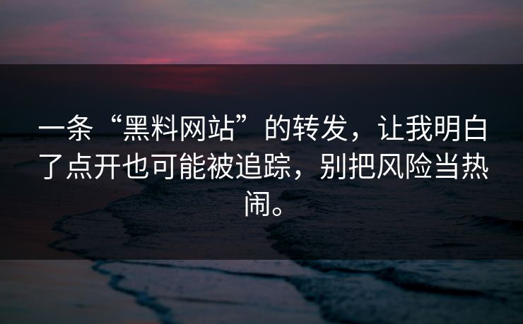 一条“黑料网站”的转发，让我明白了点开也可能被追踪，别把风险当热闹。