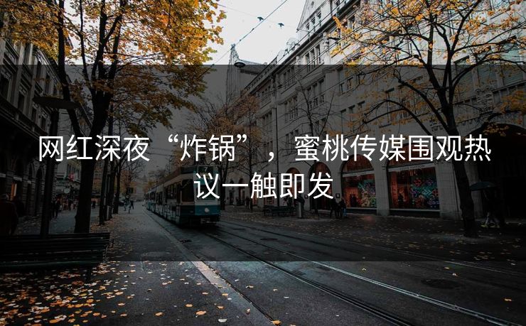 网红深夜“炸锅”，蜜桃传媒围观热议一触即发