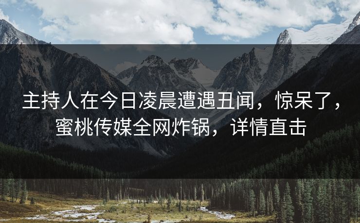 主持人在今日凌晨遭遇丑闻，惊呆了，蜜桃传媒全网炸锅，详情直击