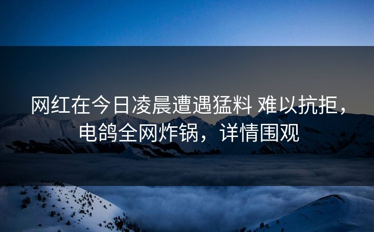 网红在今日凌晨遭遇猛料 难以抗拒,电鸽全网炸锅,详情围观 网红在今日凌晨遭遇猛料 难以抗拒,电鸽全网炸锅,详情围观