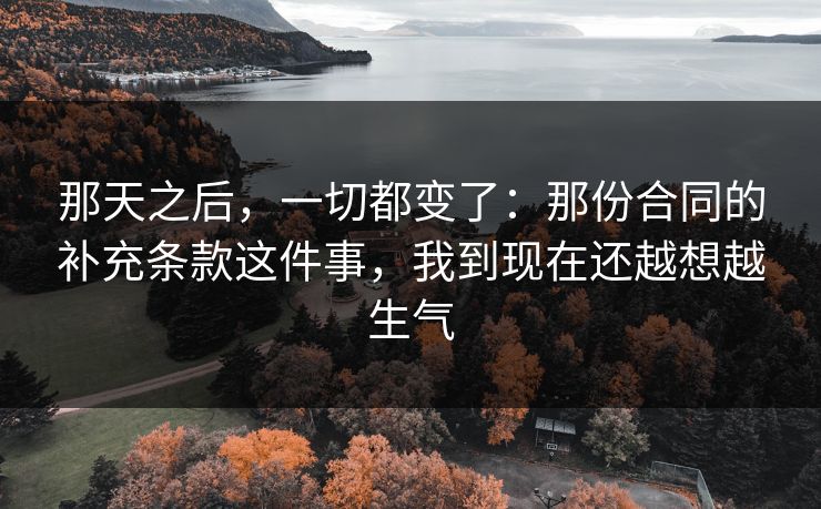 那天之后，一切都变了：那份合同的补充条款这件事，我到现在还越想越生气