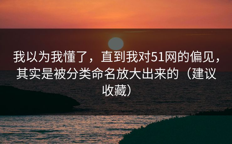 我以为我懂了，直到我对51网的偏见，其实是被分类命名放大出来的（建议收藏）